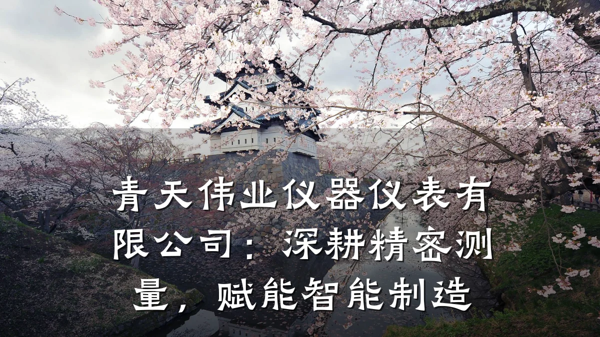 青天伟业仪器仪表有限公司:深耕精密测量,赋能智能制造