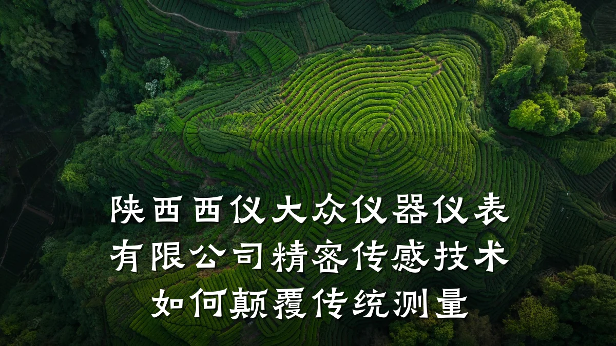 陕西西仪大众仪器仪表有限公司精密传感技术如何颠覆传统测量