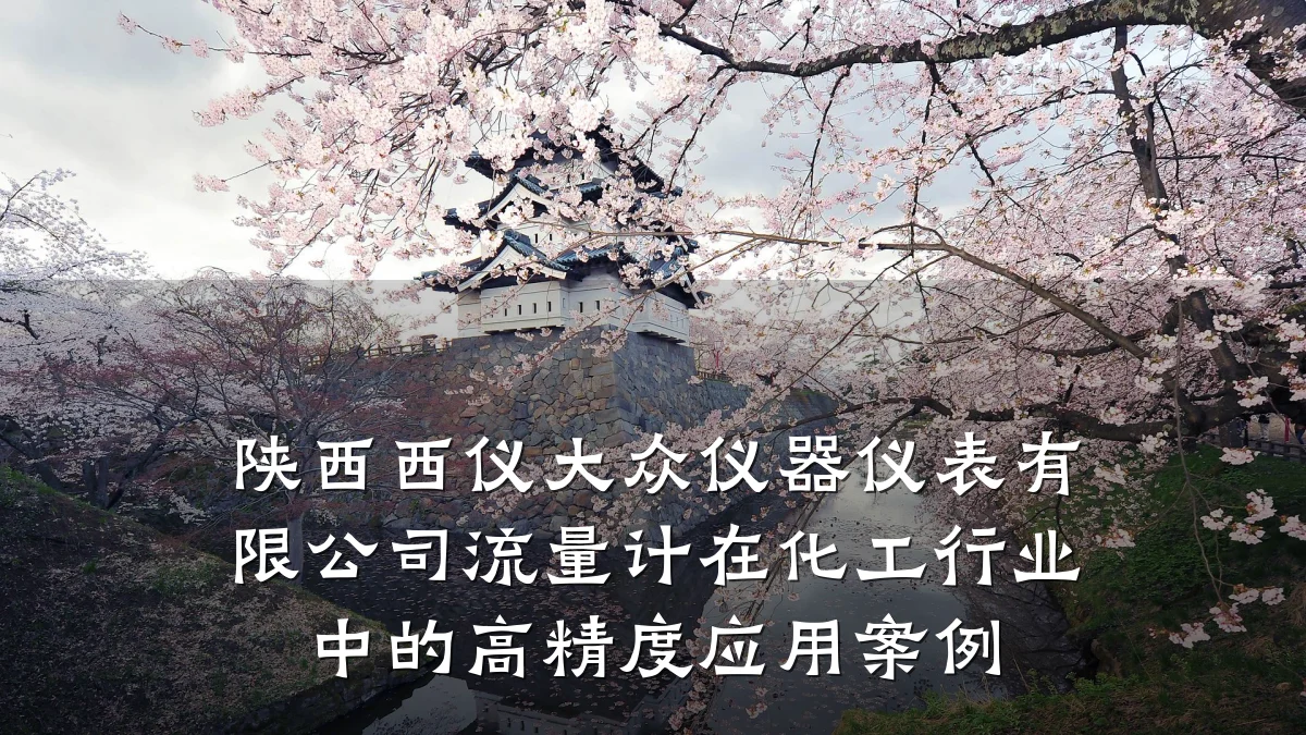 陕西西仪大众仪器仪表有限公司流量计在化工行业中的高精度应用案例