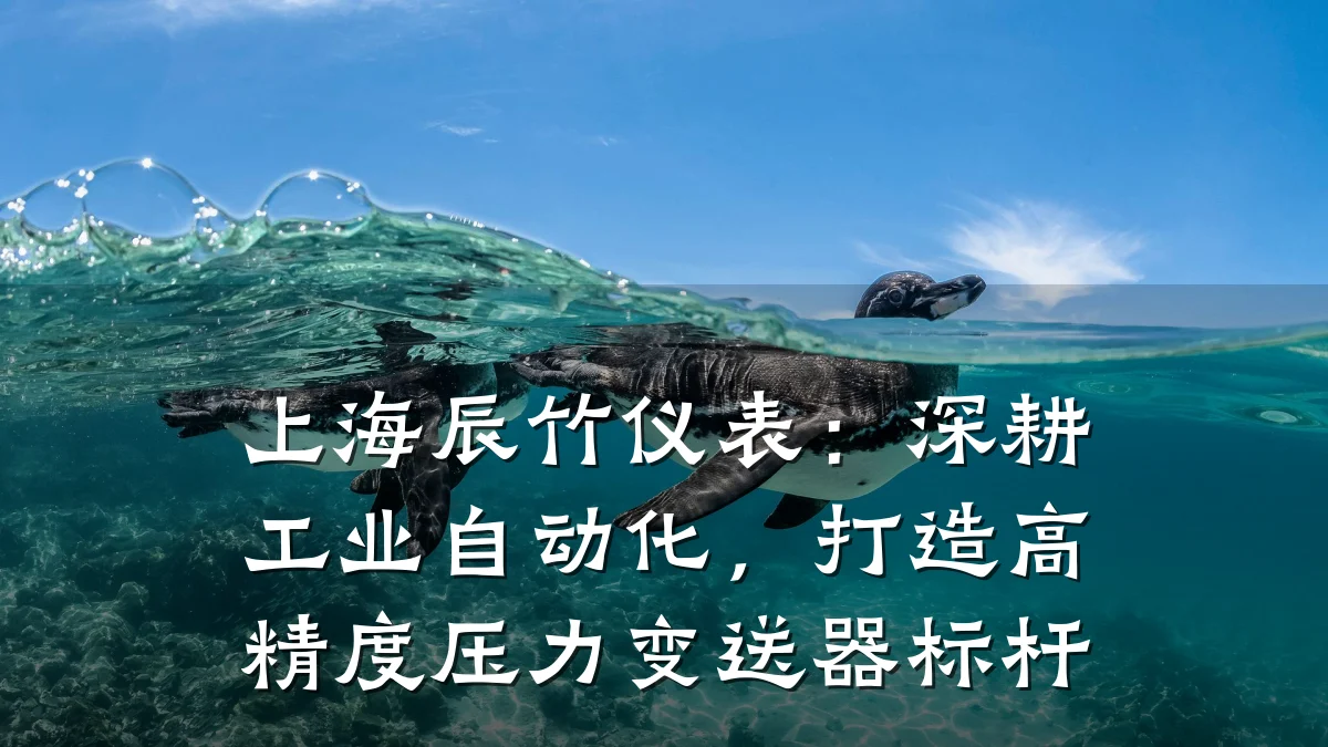 上海辰竹仪表：深耕工业自动化，打造高精度压力变送器标杆