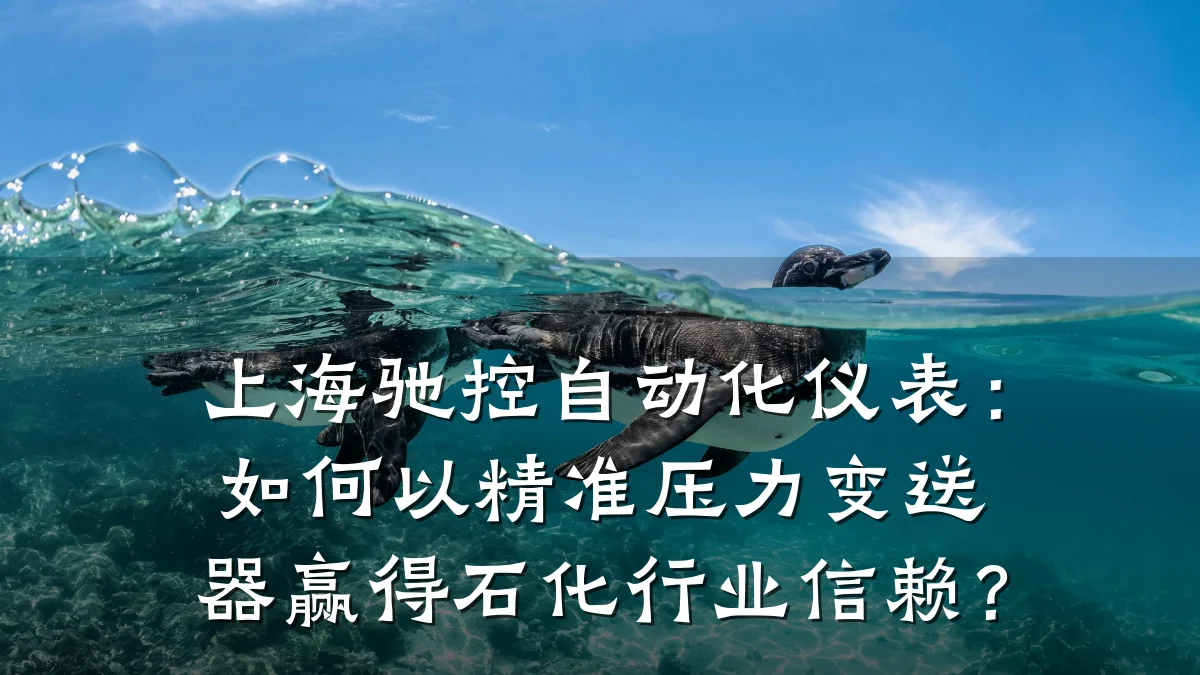 上海驰控自动化仪表：如何以精准压力变送器赢得石化行业信赖？