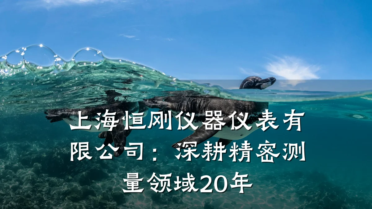 上海恒刚仪器仪表有限公司：深耕精密测量领域20年