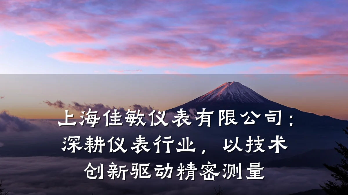 上海佳敏仪表有限公司:深耕仪表行业,以技术创新驱动精密测量