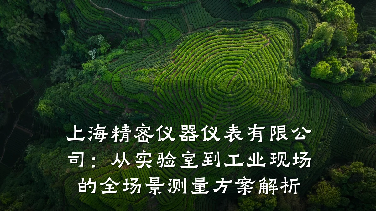 上海精密仪器仪表有限公司:从实验室到工业现场的全场景测量方案解析