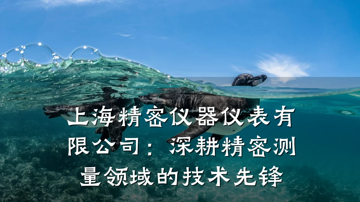 上海精密仪器仪表有限公司：深耕精密测量领域的技术先锋