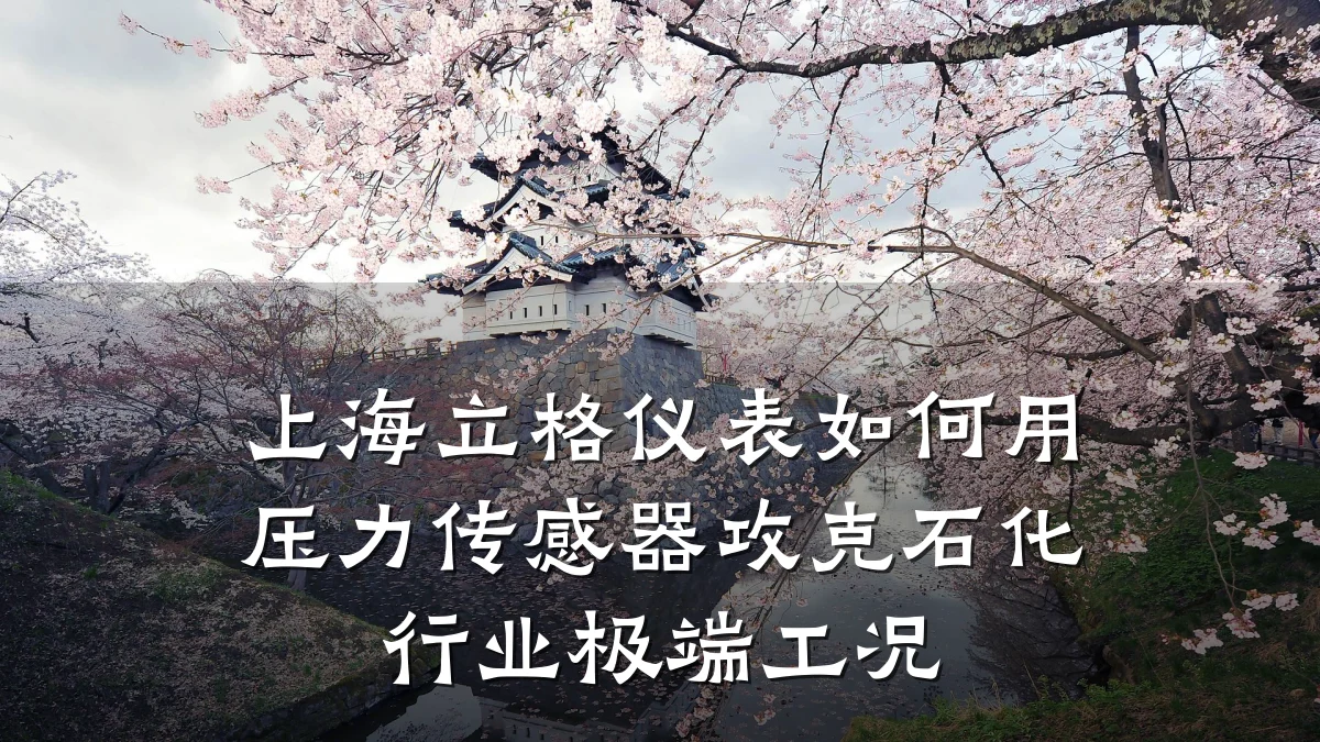 上海立格仪表如何用压力传感器攻克石化行业极端工况