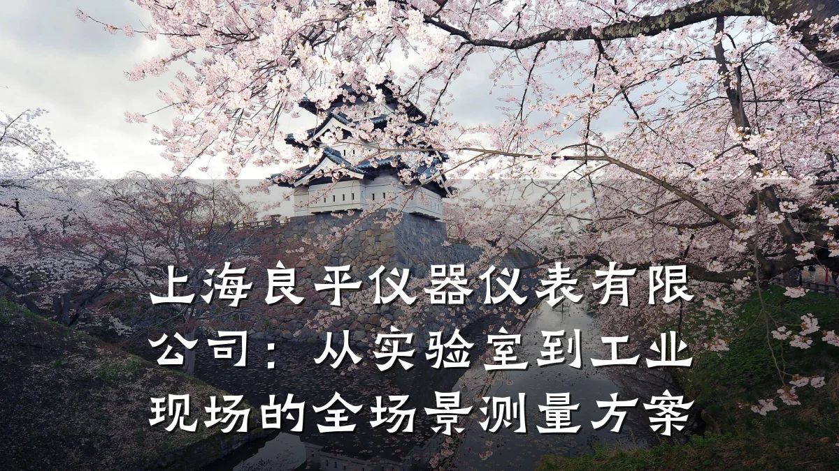 上海良平仪器仪表有限公司:从实验室到工业现场的全场景测量方案