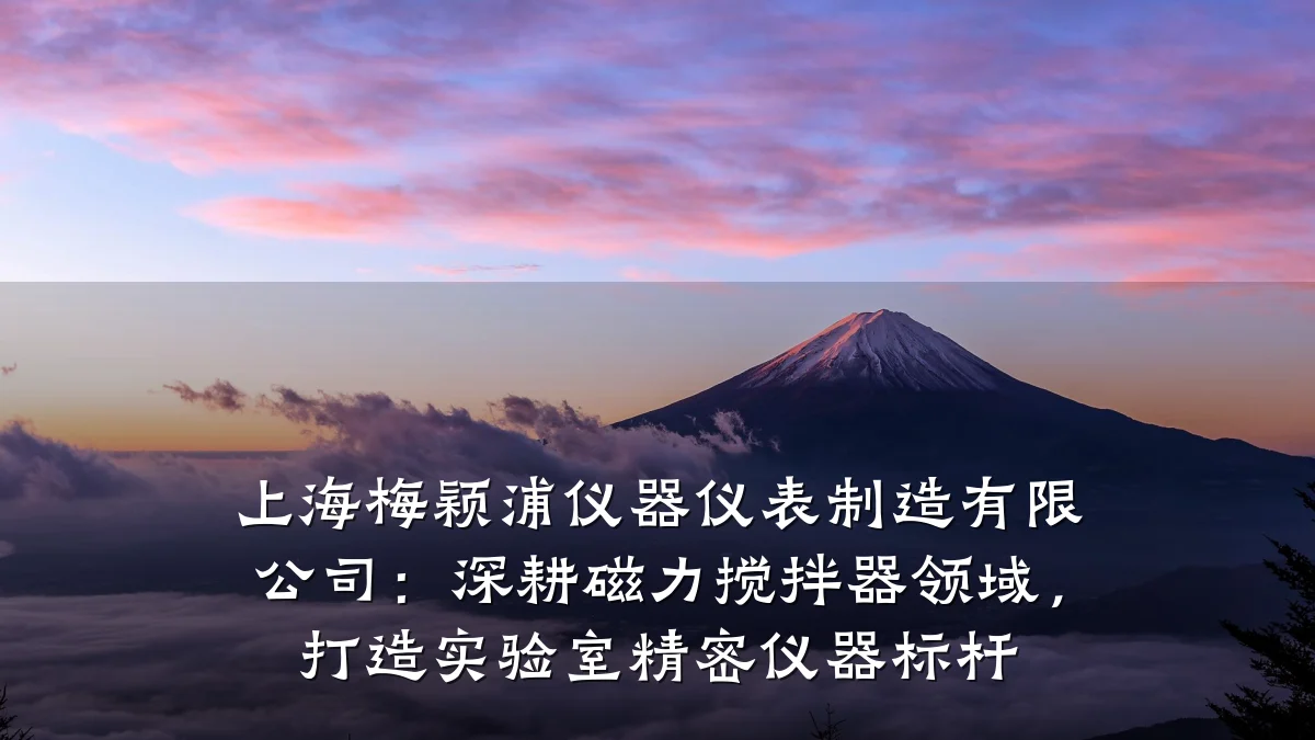 上海梅颖浦仪器仪表制造有限公司：深耕磁力搅拌器领域，打造实验室精密仪器标杆
