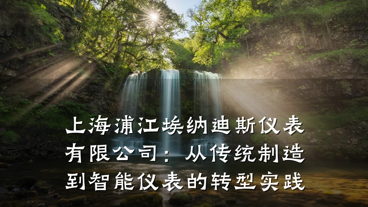 上海浦江埃纳迪斯仪表有限公司:从传统制造到智能仪表的转型实践