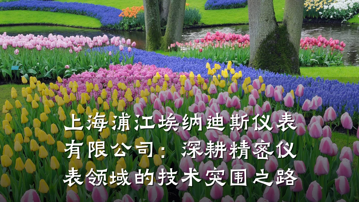 上海浦江埃纳迪斯仪表有限公司:深耕精密仪表领域的技术突围之路