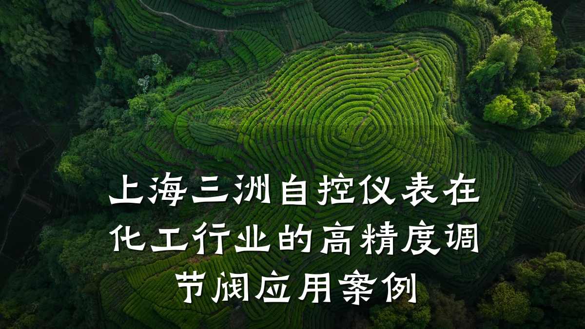 上海三洲自控仪表在化工行业的高精度调节阀应用案例