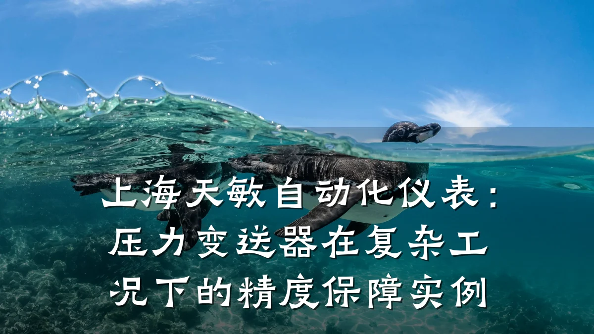 上海天敏自动化仪表:压力变送器在复杂工况下的精度保障实例