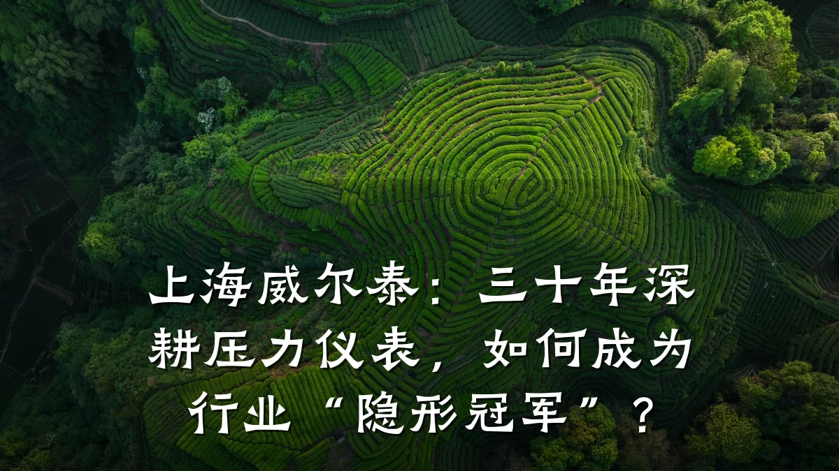 上海威尔泰:三十年深耕压力仪表,如何成为行业“隐形冠军”?