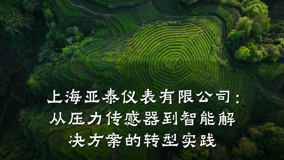 上海亚泰仪表有限公司:从压力传感器到智能解决方案的转型实践