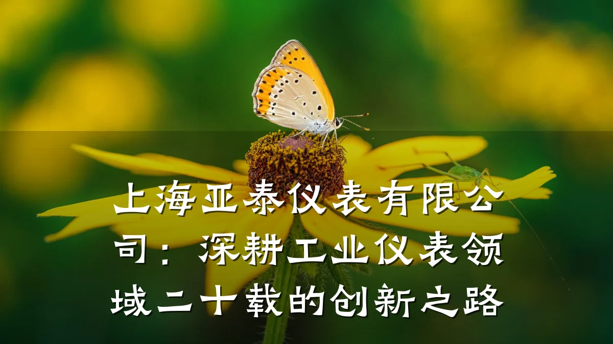 上海亚泰仪表有限公司:深耕工业仪表领域二十载的创新之路