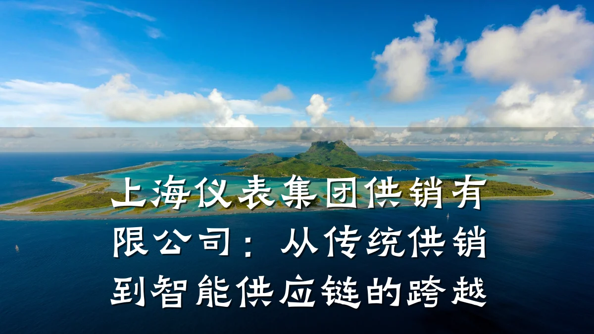 上海仪表集团供销有限公司:从传统供销到智能供应链的跨越