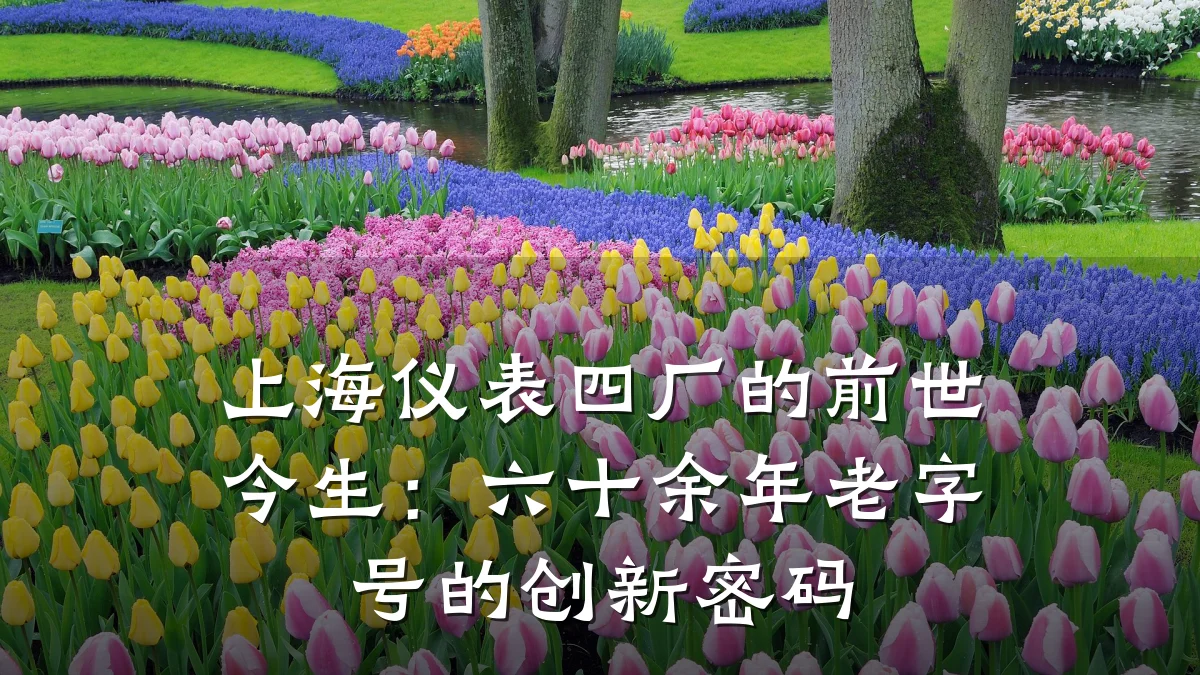 上海仪表四厂的前世今生:六十余年老字号的创新密码
