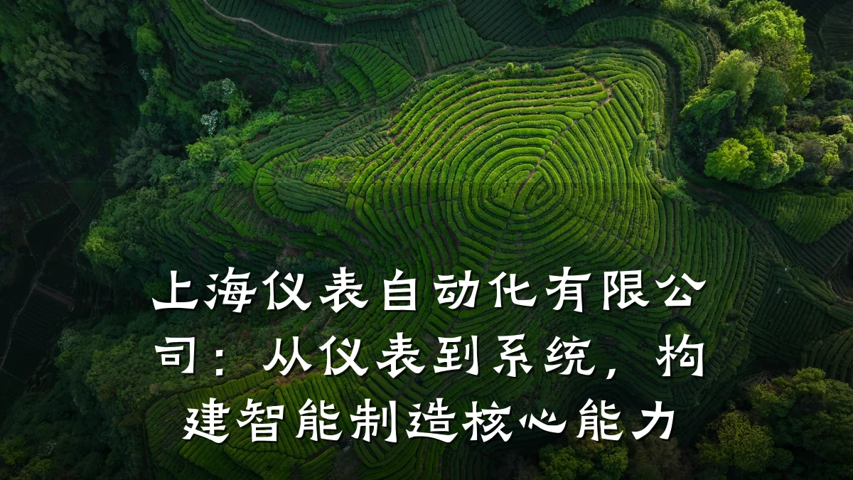 上海仪表自动化有限公司：从仪表到系统，构建智能制造核心能力