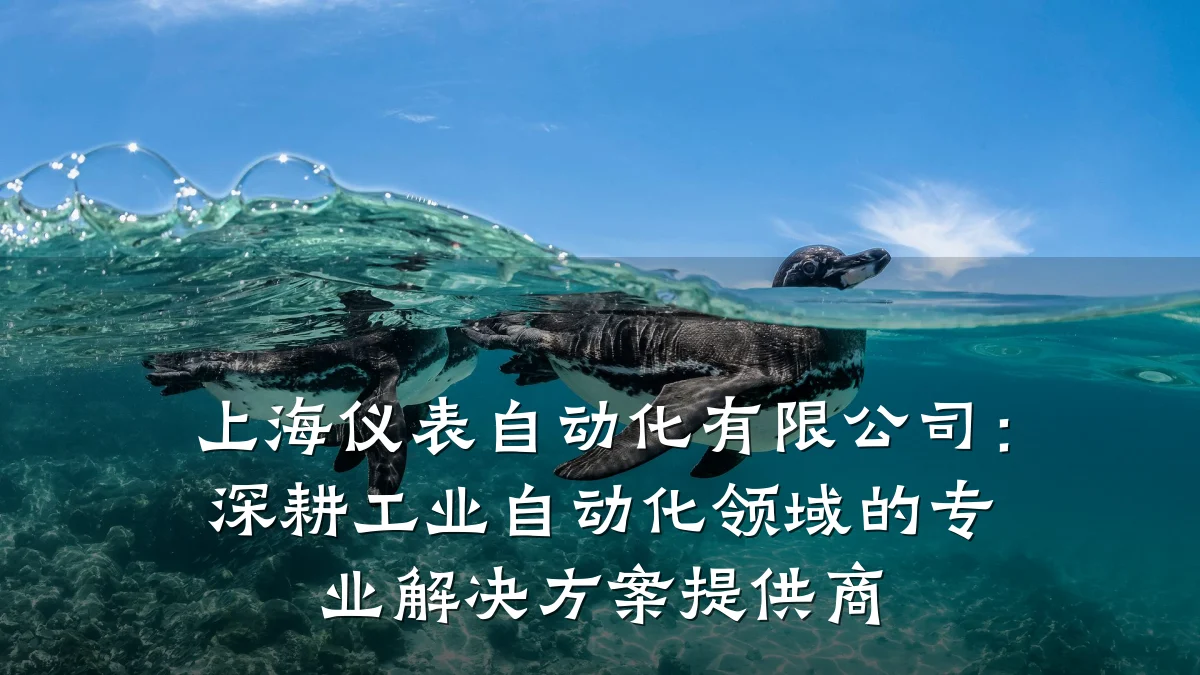 上海仪表自动化有限公司：深耕工业自动化领域的专业解决方案提供商