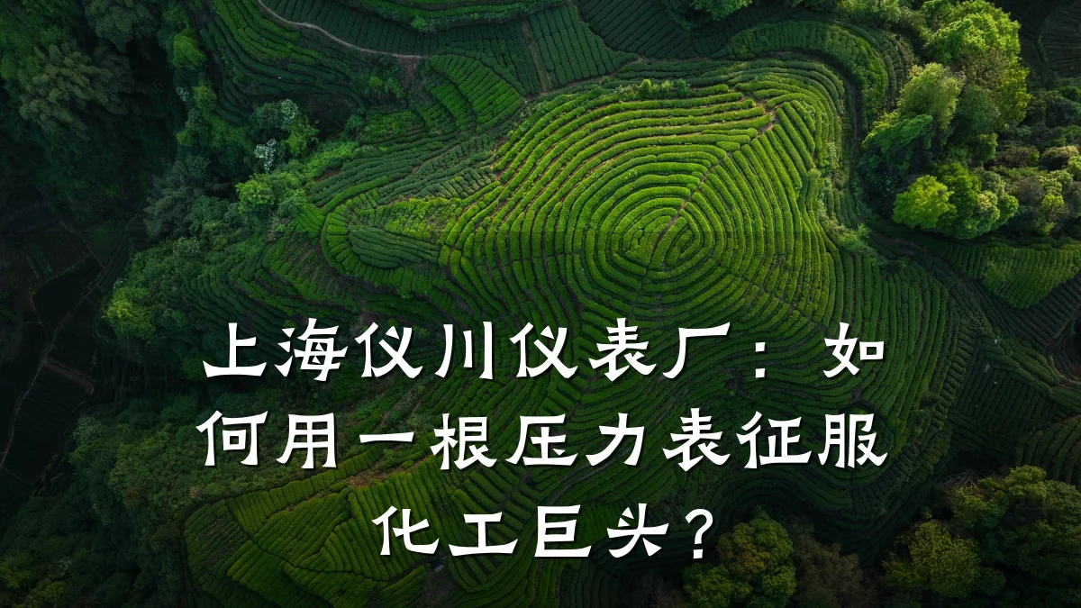 上海仪川仪表厂：如何用一根压力表征服化工巨头？