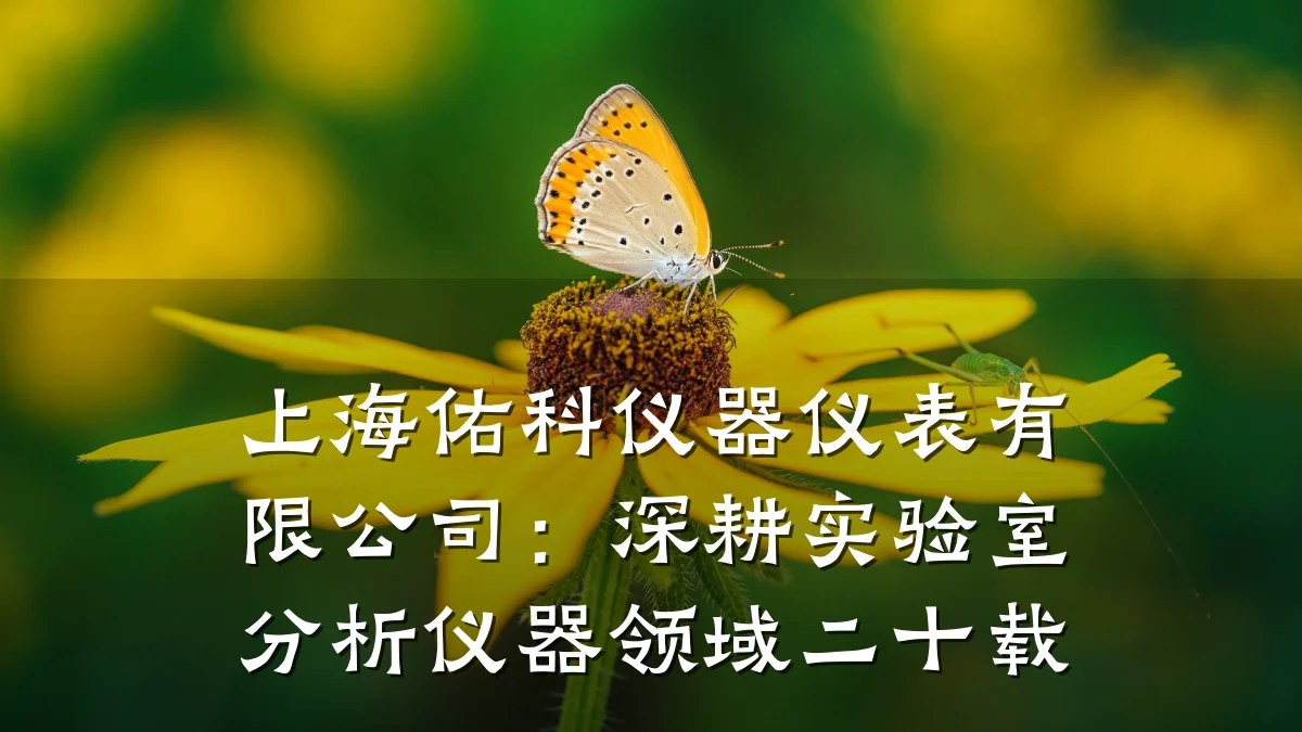上海佑科仪器仪表有限公司:深耕实验室分析仪器领域二十载