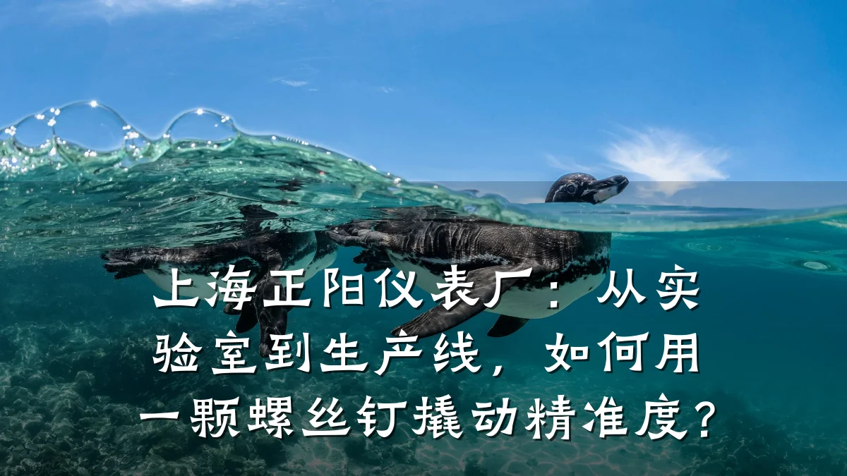 上海正阳仪表厂:从实验室到生产线,如何用一颗螺丝钉撬动精准度?