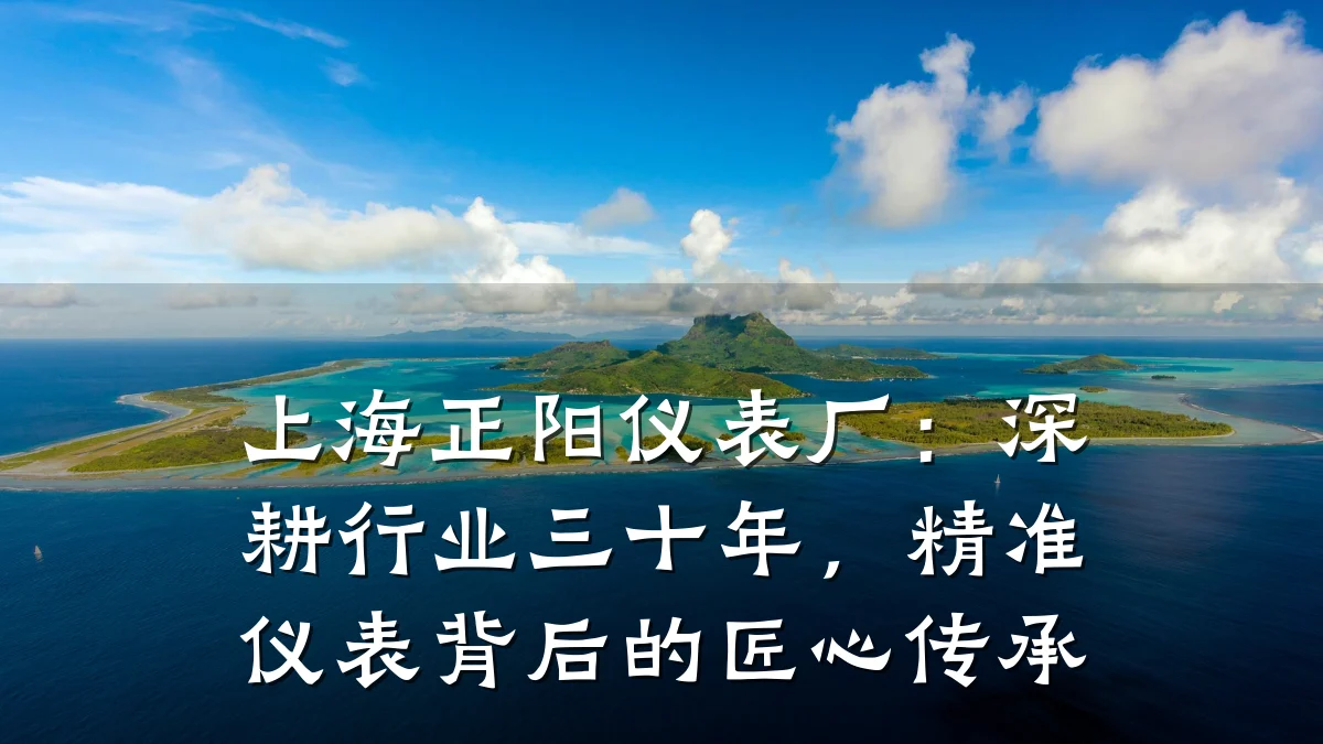 上海正阳仪表厂:深耕行业三十年,精准仪表背后的匠心传承