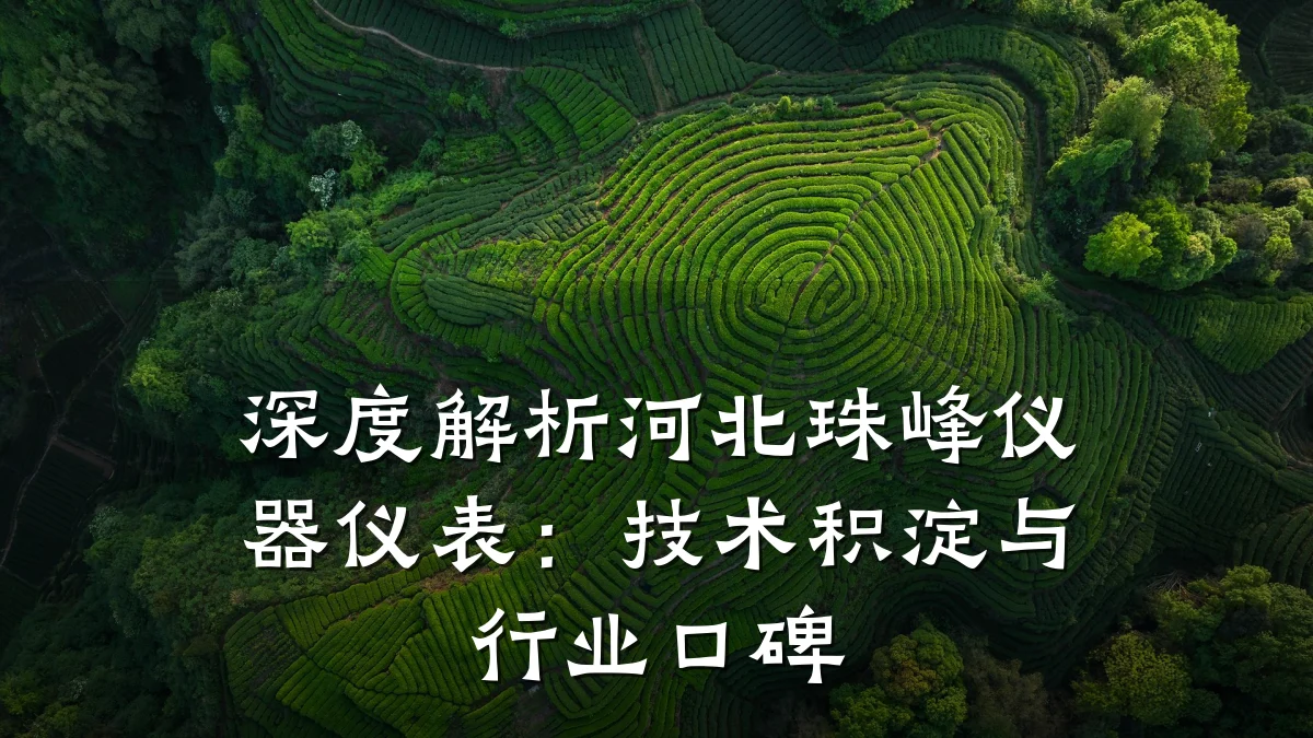 深度解析河北珠峰仪器仪表:技术积淀与行业口碑