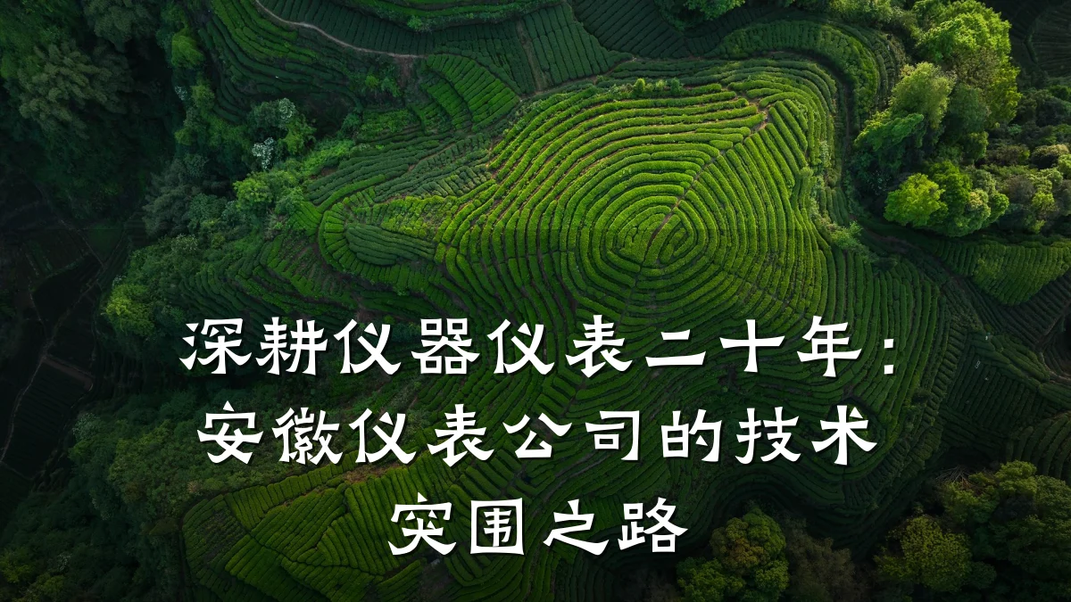 深耕仪器仪表二十年:安徽仪表公司的技术突围之路