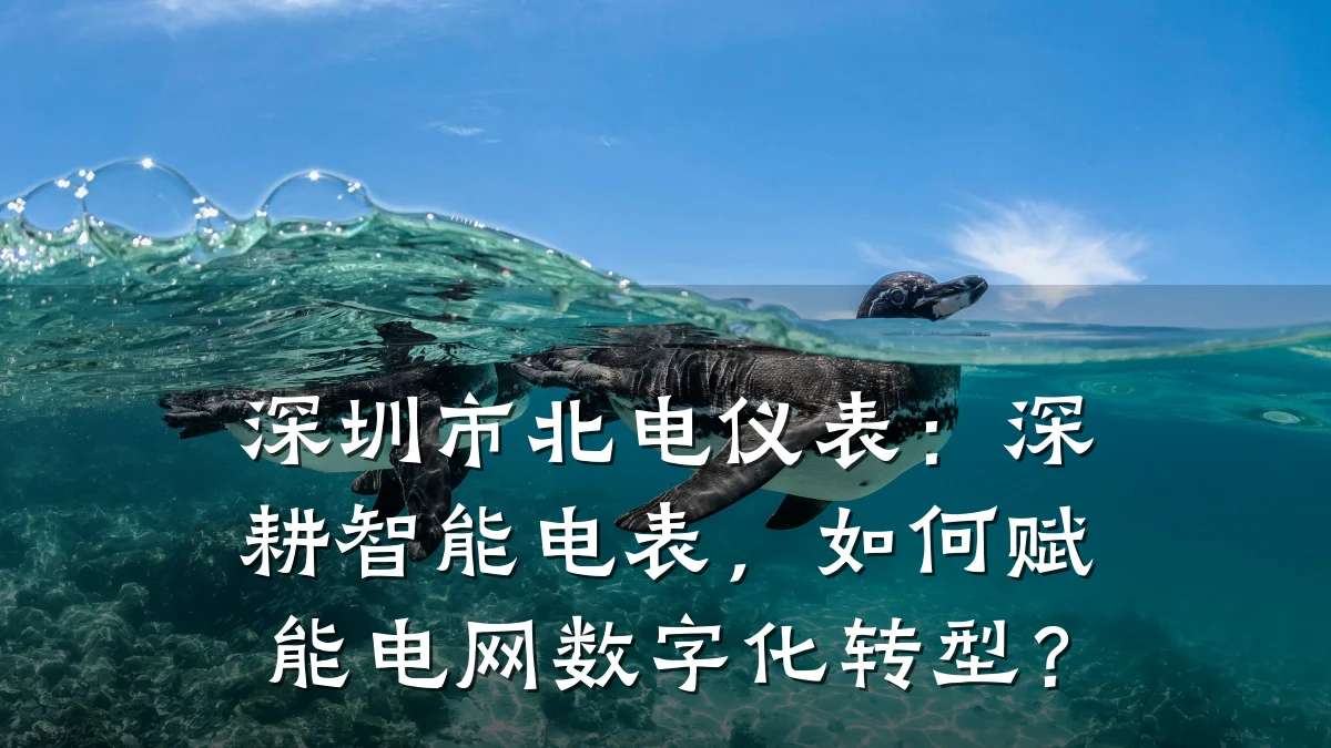 深圳市北电仪表:深耕智能电表,如何赋能电网数字化转型?