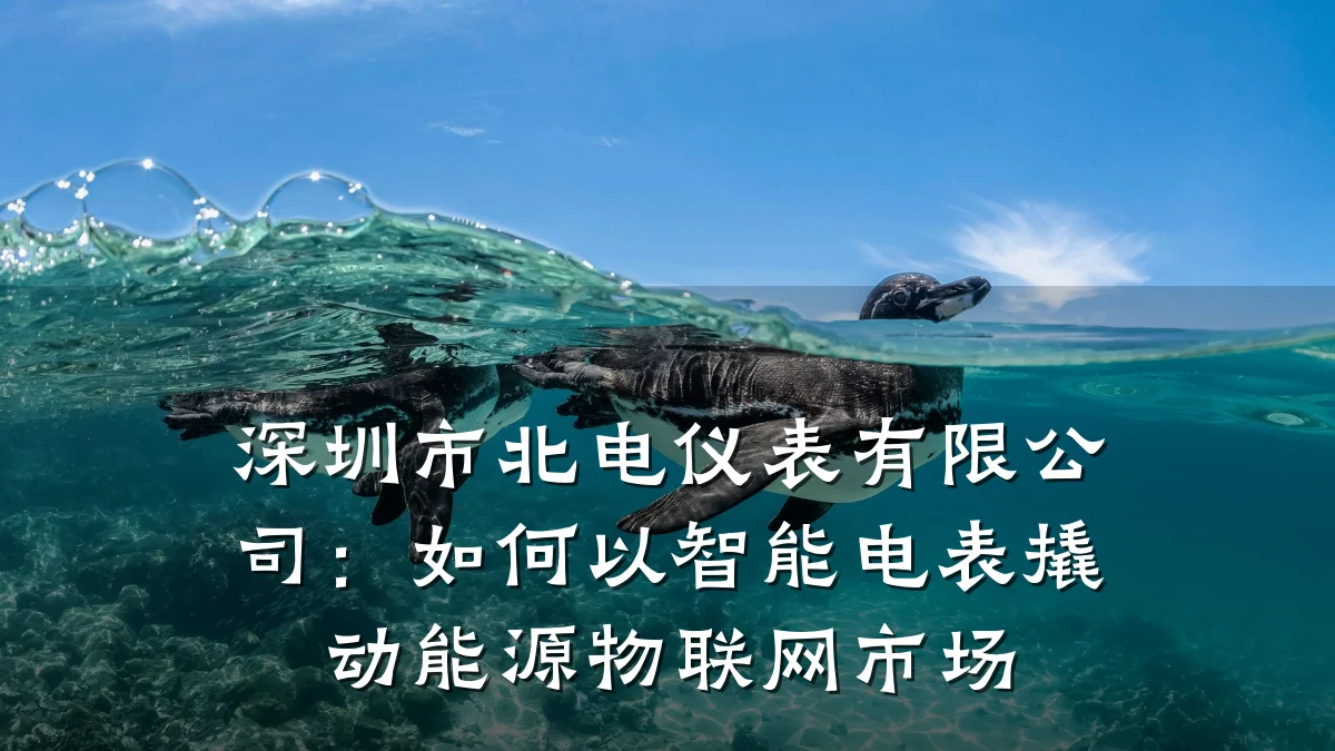 深圳市北电仪表有限公司:如何以智能电表撬动能源物联网市场