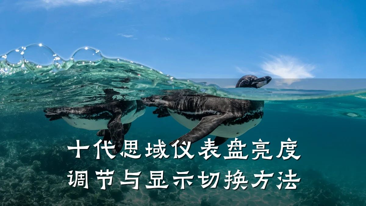 十代思域仪表盘亮度调节与显示切换方法