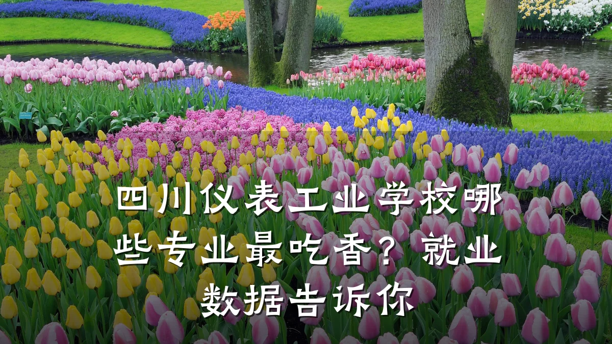 四川仪表工业学校哪些专业最吃香?就业数据告诉你