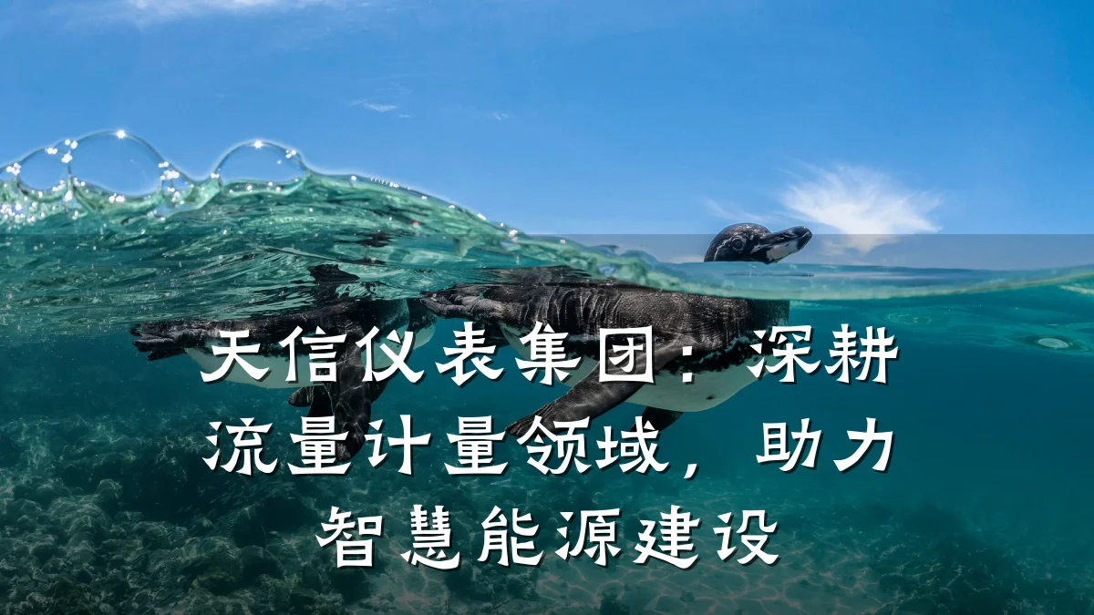天信仪表集团:深耕流量计量领域,助力智慧能源建设