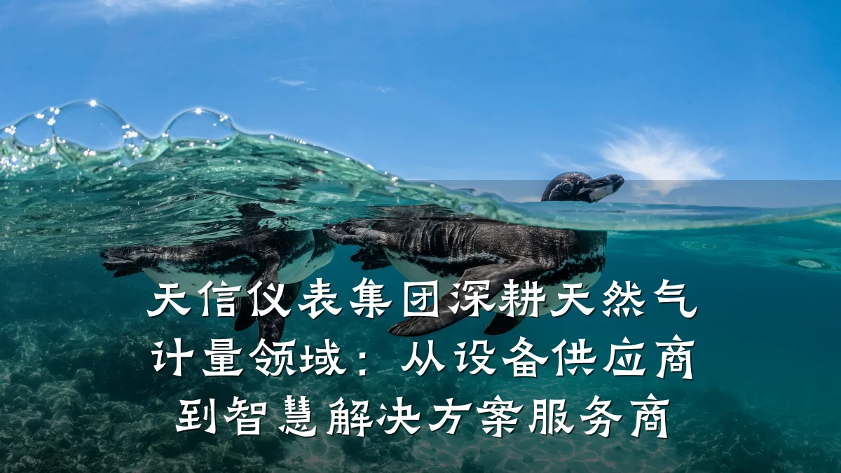 天信仪表集团深耕天然气计量领域：从设备供应商到智慧解决方案服务商