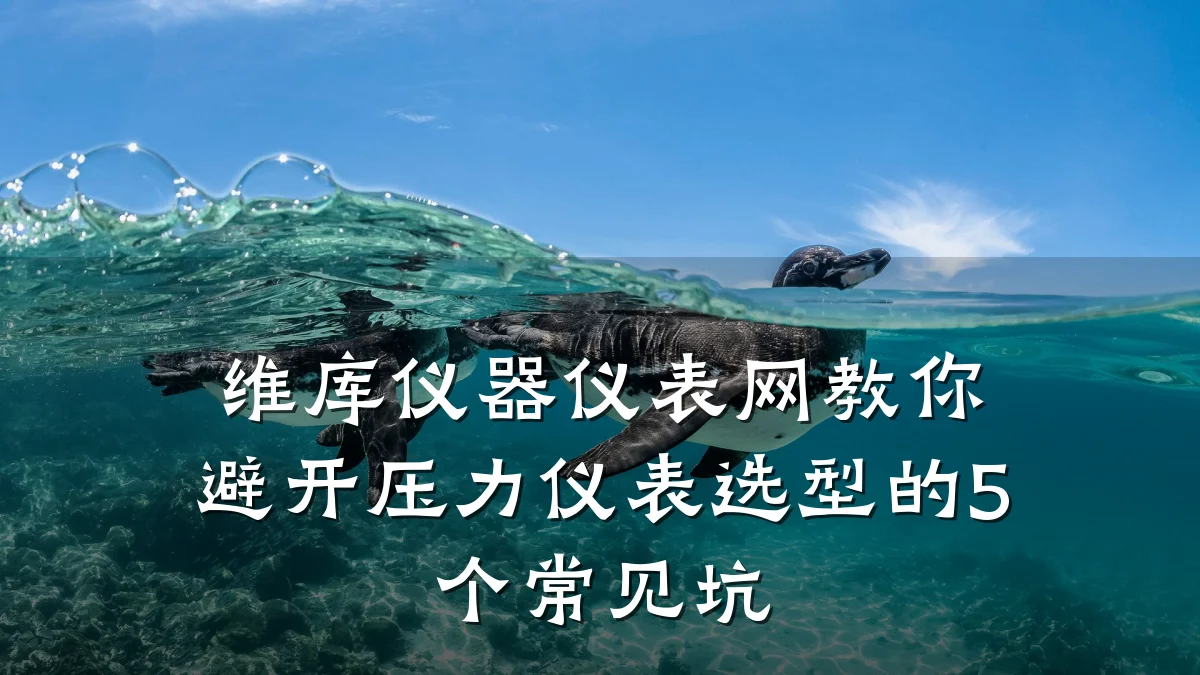 维库仪器仪表网教你避开压力仪表选型的5个常见坑