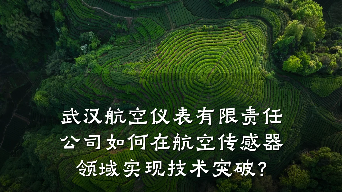 武汉航空仪表有限责任公司如何在航空传感器领域实现技术突破?