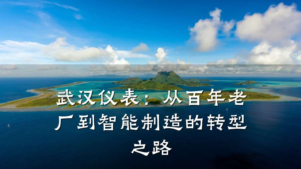 武汉仪表:从百年老厂到智能制造的转型之路