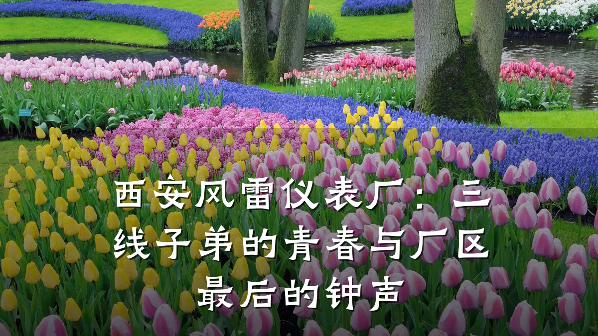 西安风雷仪表厂：三线子弟的青春与厂区最后的钟声