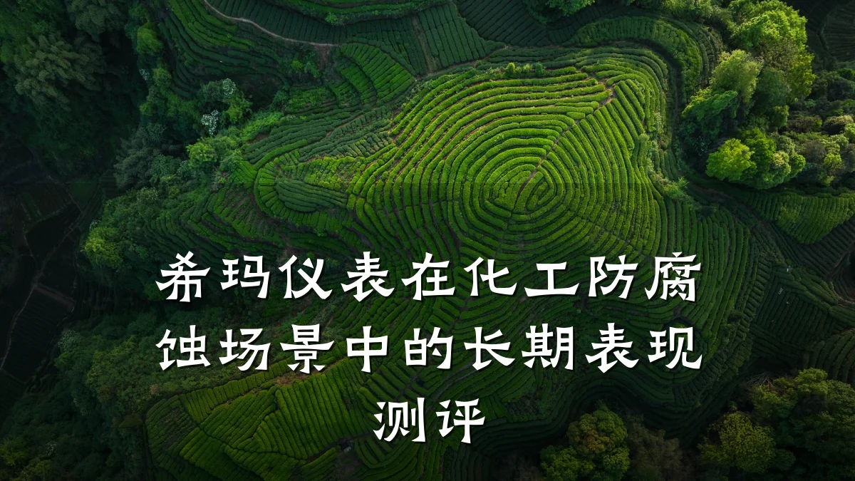 希玛仪表在化工防腐蚀场景中的长期表现测评