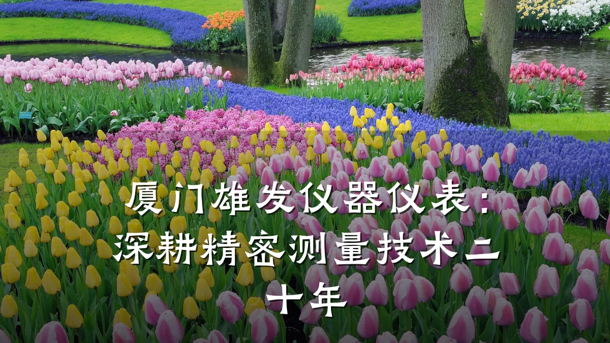 厦门雄发仪器仪表:深耕精密测量技术二十年