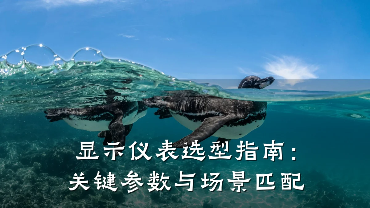 显示仪表选型指南：关键参数与场景匹配