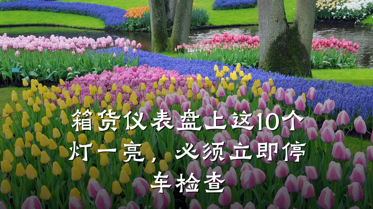 箱货仪表盘上这10个灯一亮,必须立即停车检查