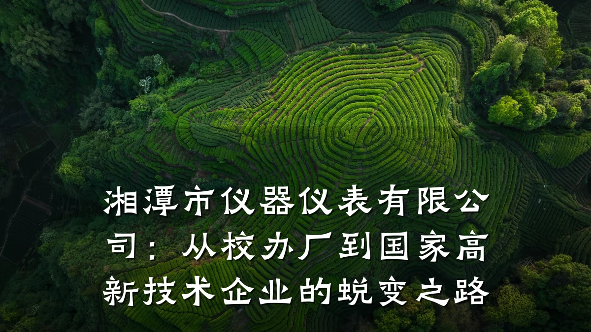 湘潭市仪器仪表有限公司:从校办厂到国家高新技术企业的蜕变之路