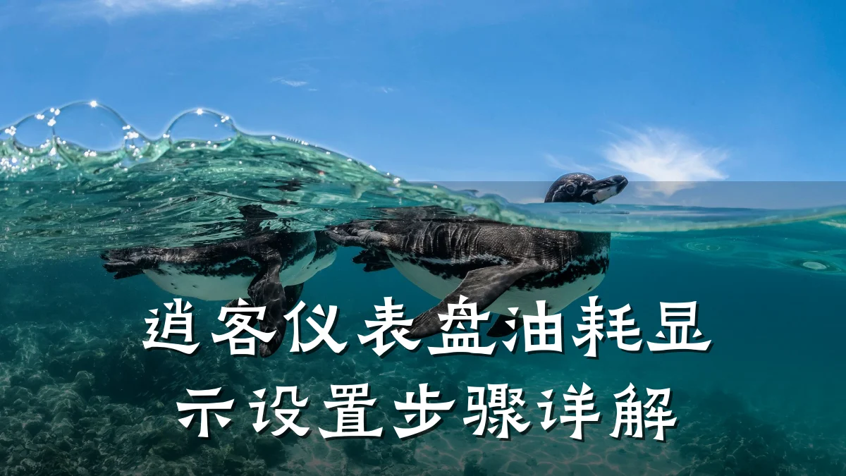 逍客仪表盘油耗显示设置步骤详解