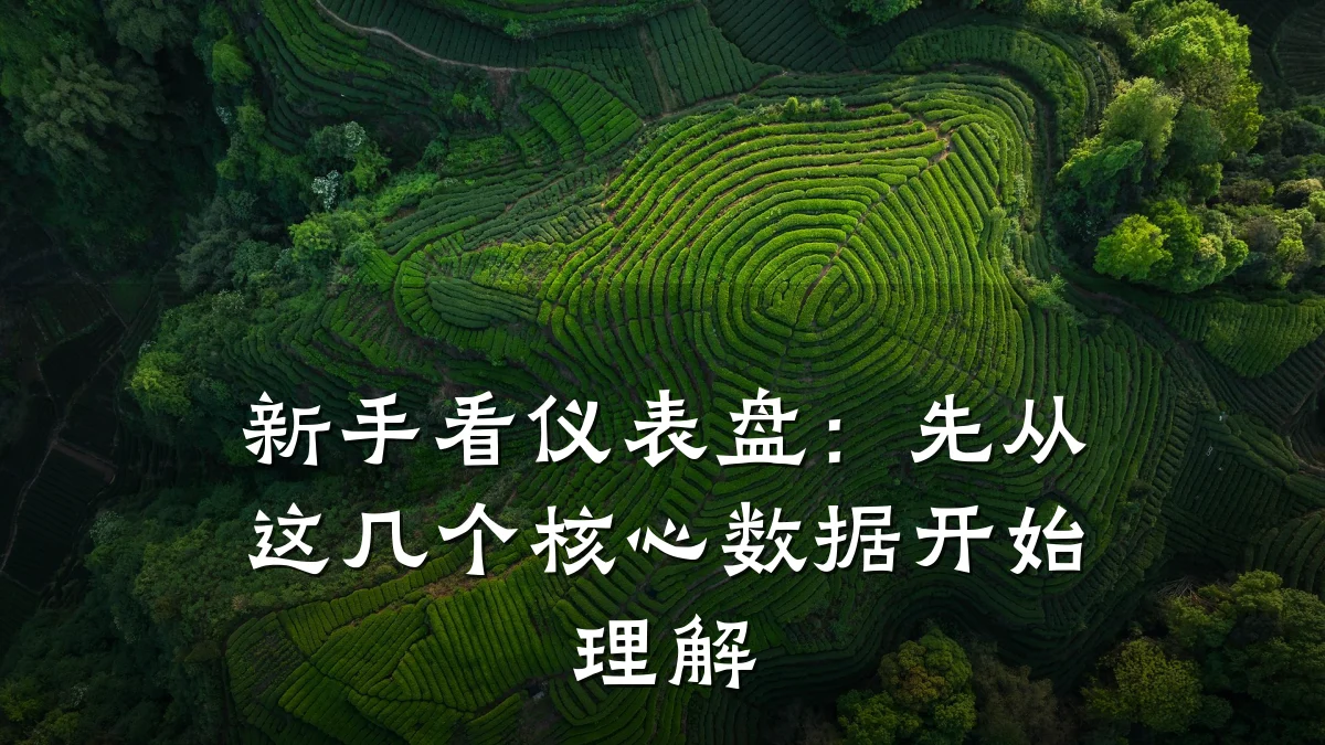 新手看仪表盘:先从这几个核心数据开始理解