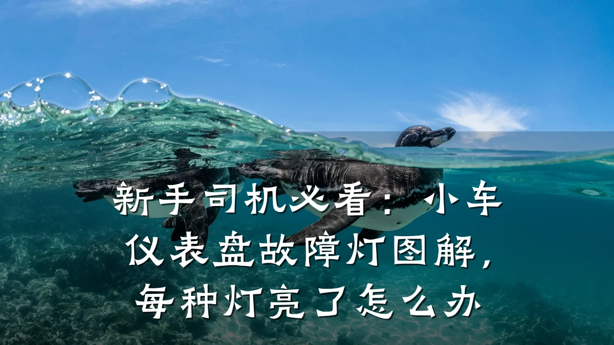 新手司机必看:小车仪表盘故障灯图解,每种灯亮了怎么办