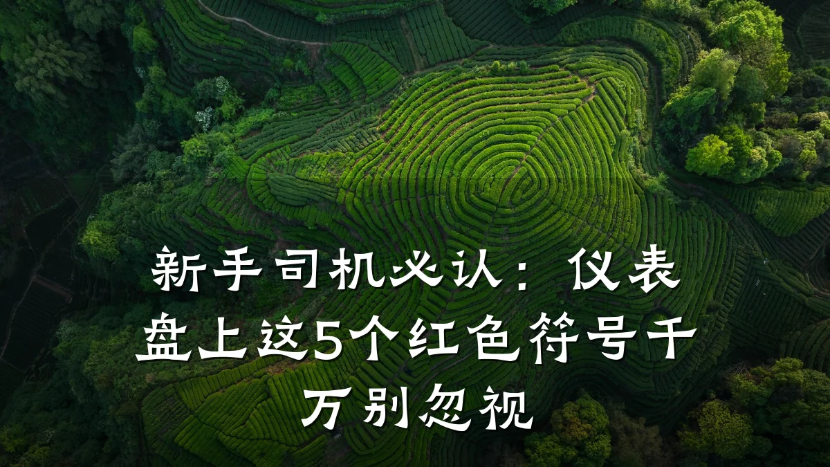 新手司机必认：仪表盘上这5个红色符号千万别忽视
