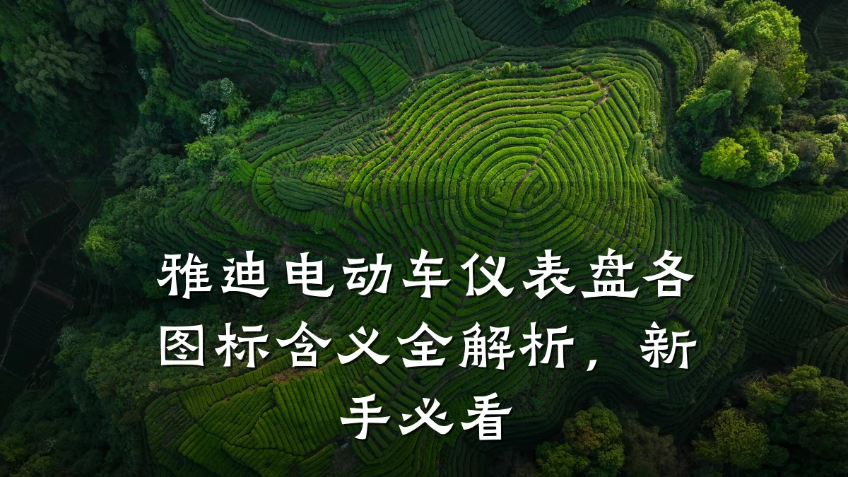 雅迪电动车仪表盘各图标含义全解析，新手必看