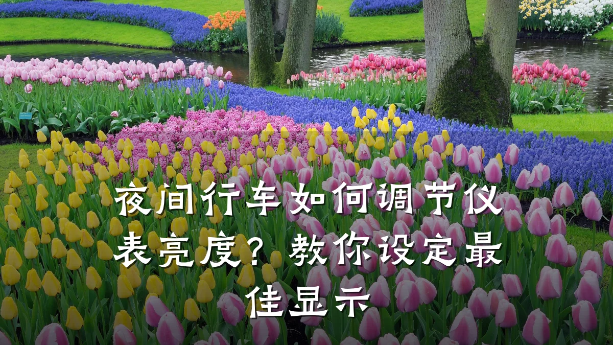 夜间行车如何调节仪表亮度?教你设定最佳显示